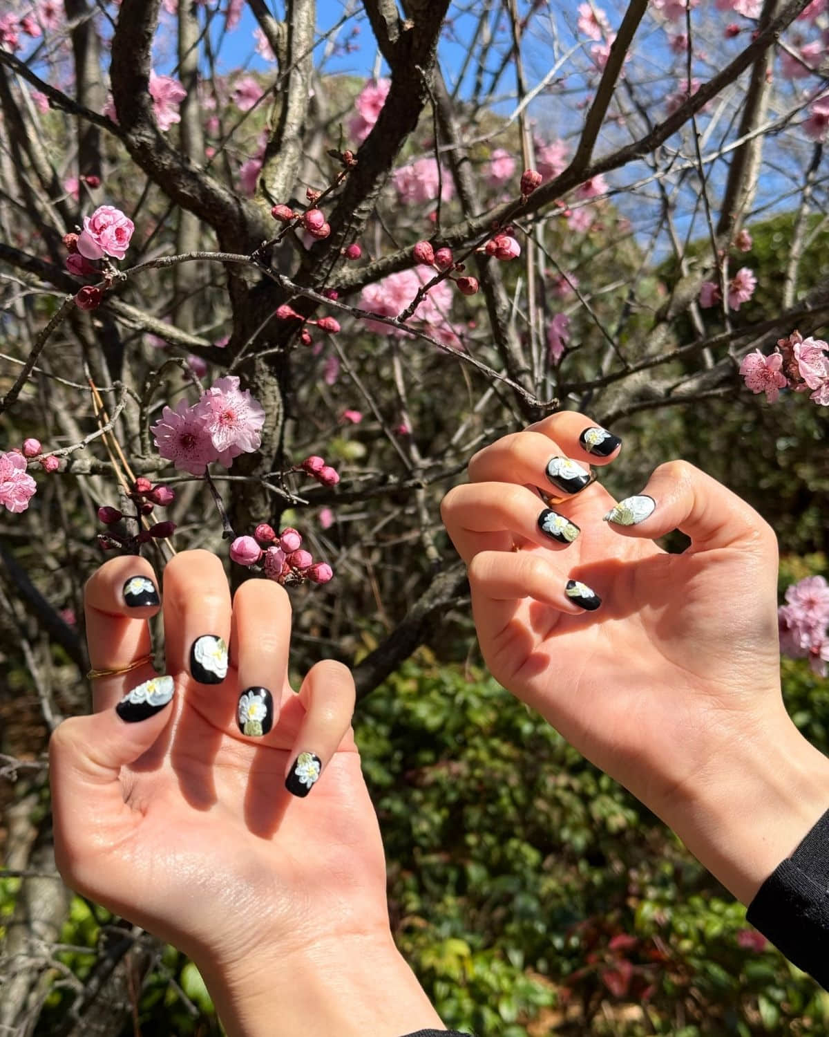 Press-on nails against spring cherry blossoms outdoors.